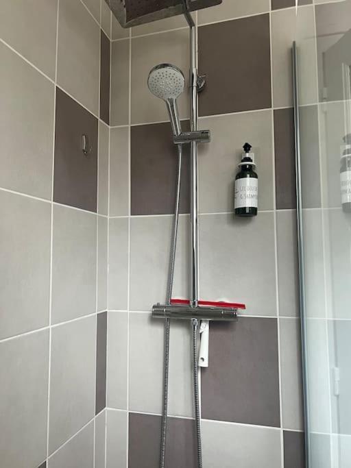 Appartement Proche Des Facs Lebon Clermont-Ferrand Esterno foto